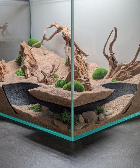 Arid Bioactive Vivarium, Aquarium Tunnel, Leopard Gecko Hide, Python Tank, Diy Bearded Dragon Enclosure, Leopard Gecko Tank, Bearded Dragon Enclosure, Gecko Terrarium, Fish Tank Terrarium