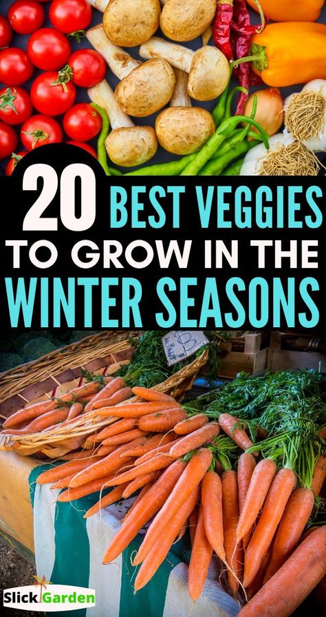 Best Veggies To Grow, Veggies To Grow, Best Veggies, Growing Winter Vegetables, Gemüseanbau In Kübeln, Growing Vegetables In Pots, Winter Veggies, Winter Greenhouse, Winter Vegetables Gardening