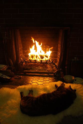 Very inviting fireplace, perfectly suited for a cold winter's evening. Fireplace Aesthetic, Cosy Fireplace, Teenage Girl Room, Sources Of Heat, Fireplace Logs, Hearth And Home, Cozy Fireplace, Cozy Place, Winter Aesthetic