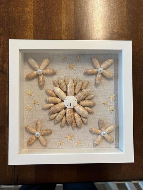 Egg Carton Art, Olive Art, Olive Shell, Seashell Display, Seashell Art Diy, Seashell Projects, Shell Flowers, Coastal Christmas, Seashell Art