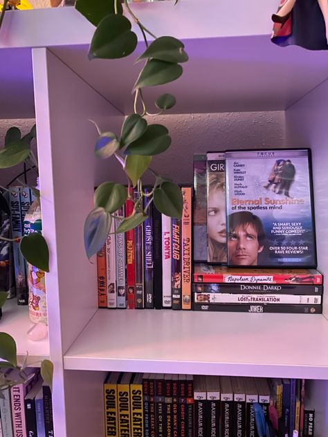 Dvd Storage Aesthetic, Dvd Collection Display, Dvd Display Ideas, Dvds Aesthetic, Cd Organization Ideas, Dvd Collection Aesthetic, Movie Shelf, Dvd Shelf, Dvd Display