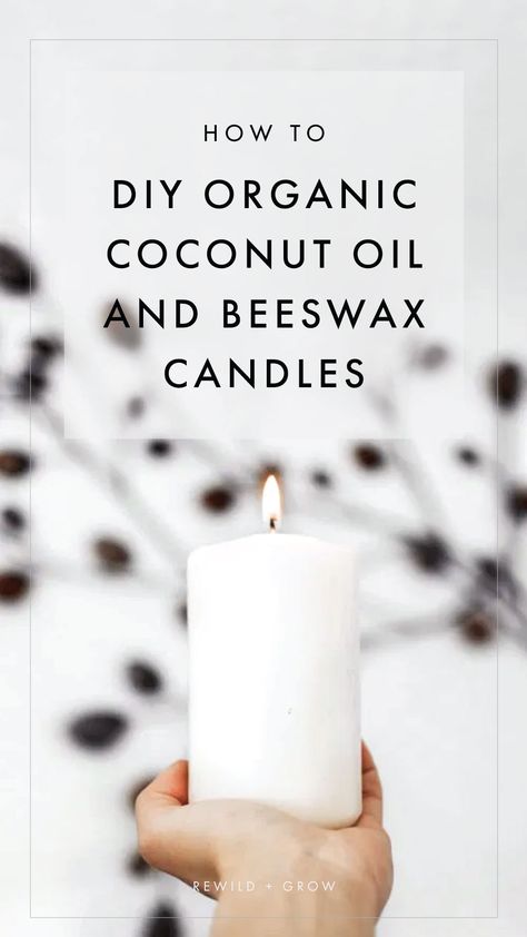 Easy, Simple Guide on Making Organic Coconut Oil and Beeswax Candles Coconut And Beeswax Candles, Candle Making Beeswax Coconut Oil, Coconut Oil Wax Melts Diy, Toxic Free Candles Diy, Soy Beeswax Candles Diy, Beeswax Coconut Oil Candles Diy, Soy And Beeswax Candles Diy, Homemade Organic Candles, How To Scent Beeswax Candles