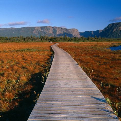 A Guide to Newfoundland: A Rugged, Remote Foodie Haven Gros Morne National Park, Gros Morne, Newfoundland Canada, Canada Travel Guide, Beyond The Sea, Seaside Village, Newfoundland And Labrador, Coastal Landscape, Banff National Park