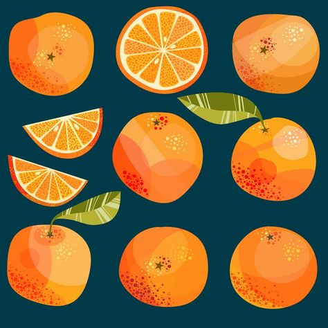 Citrus Graphic Design, Orange Illustration Fruit, Orange Illustration Graphics, Citrus Mural, Citrus Drawing, Orange Fruit Art, Oranges Illustration, Painted Oranges, Citrus Illustration