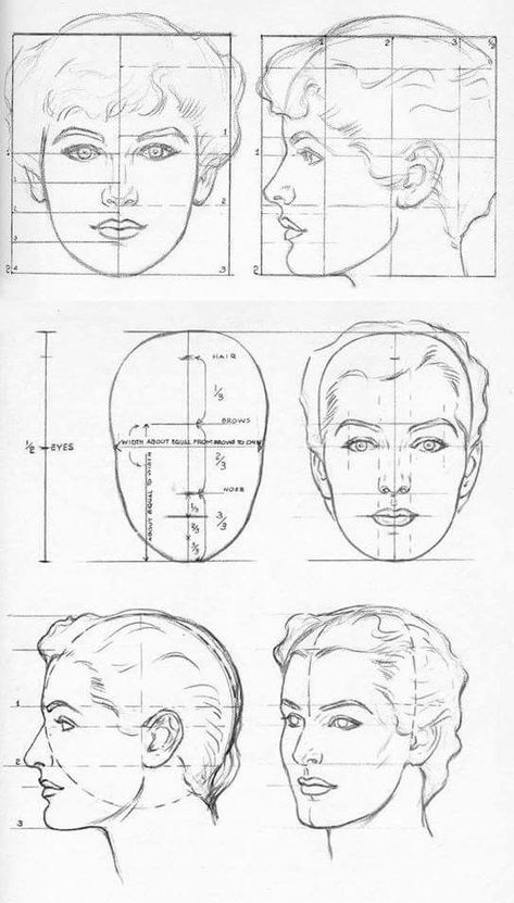 Face Dimensions Drawing, Face Diagram, Proportions Of The Face, Face Proportions Drawing, Random Sketch Ideas, Planes Of The Face, Portrait Drawing Tips, Easy Sketches, Face Proportions