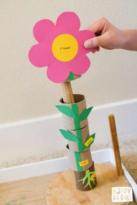 TP ROLL PARTS OF A FLOWER Learning Toy - Happy Tot Shelf Gardening Preschool, Fish Sewing, Preschool Garden, Flower Puzzles, Planting For Kids, Flower Toy, Plant Activities, Plant Crafts, Home Schooling