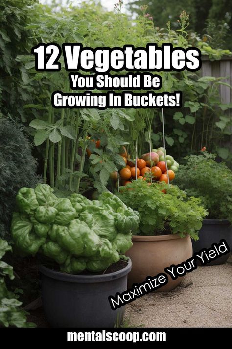 Growing Vegetables In Pots, Bucket Gardening, Gardening Projects, Container Vegetables, Vegetable Garden Diy, Sensory Garden, Garden Veggies, Garden Help, Veg Garden