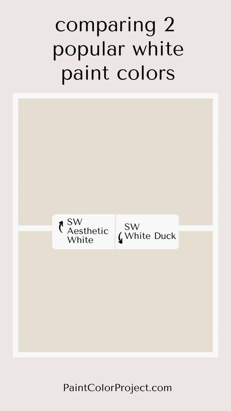 Looking for the perfect off-white paint color for your home? I compare Aesthetic White vs White Duck to help you make the best decision. White Duck Sherwin Williams Exterior, Sherwin Williams Aesthetic, Sherwin Williams Aesthetic White, Williams Aesthetic, Off White Paint Colors, Cream Paint Colors, Off White Paint, Dover White, Off White Paints