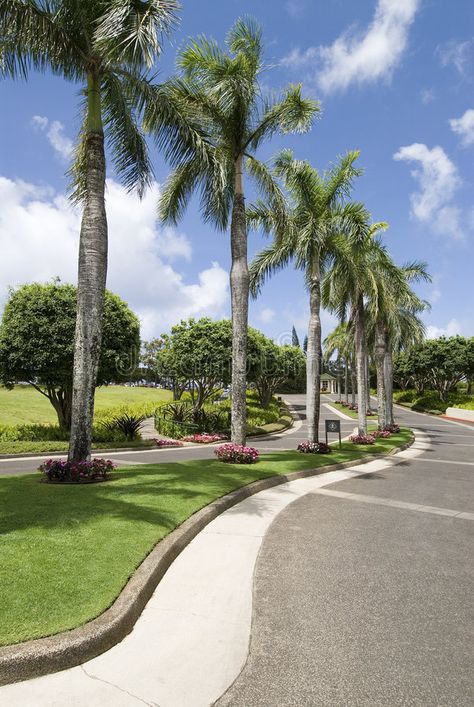 Landscaping Entrance, Tree Lined Street, Streetscape Design, Palm Trees Landscaping, Palm Lines, Road Markings, Palm Garden, Commercial And Office Architecture, Dubai Holidays