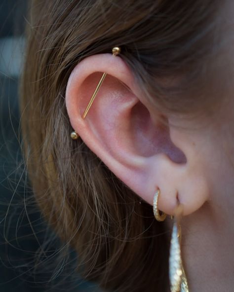 Check out Lilith’s sweet new industrial piercing, expertly performed by Elise and styled with classic 14k solid gold 🔱 Thanks for stopping by Lilith! Start your weekend off right! Sara, Liz, & Em will be here 12-8pm for all your piercing + jewelry fancies 🦋 Industrial Piercing Jewelry Gold, Piercings Oreja Industrial, Industrial Pericing, All Piercings Types, Cute Industrial Piercing Jewelry, Dainty Industrial Piercing, Ear Piercing Industrial, Industrial Piercing Aesthetic, Gold Industrial Piercing