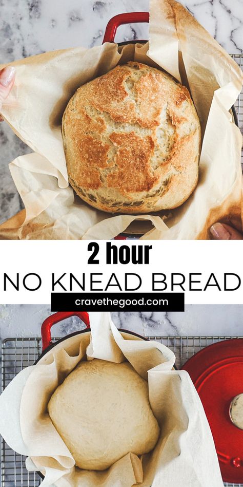 Artisan Bread Dutch Oven, Cast Iron Bread Recipes, Fastest Bread Recipe, Easy No Knead Bread, Sandwich Buffet, Fast Bread, Crusty Bread Recipe, Dutch Oven Bread, Knead Bread Recipe