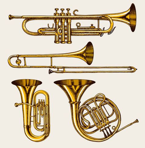 Musical Instruments Drawing, Jazz Instruments, Wind Instruments, Atlas Moth, Red Sports Car, Instruments Art, About Heart, Brass Instruments, Music Crafts