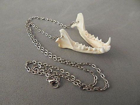 Real Bone Jewelry, Animal Bone Jewelry, Taxidermy Jewelry, Bone Collector, Bone Crafts, Real Bones, Jewelry Real, Bone Necklace, Bone Jewelry