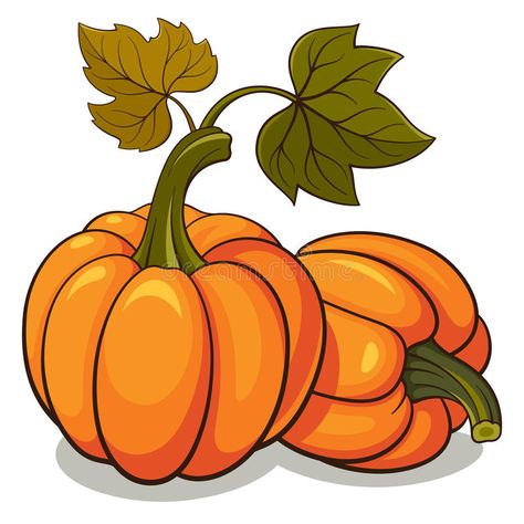 Pumpkin Drawing, Pumpkin Illustration, Pumpkin Vector, Orange Plant, Autumn Background, Pumpkin Clipart, Fall Coloring Pages, Food Fruit, Fall Food