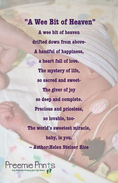 A Beautiful Baby Poem! Premature Baby Quotes, New Baby Poem, Baby Prayers, Baby Poems, New Baby Quotes, Baby Shower Quotes, Shower Quotes, Congratulations Quotes