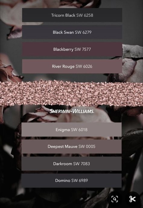 Mauve Plum Rose Gold Navy Bedroom, Gothic Paint Palette, Unique Cabinet Color Ideas, Black Home Color Palette, Dark Academic Colour Palette, Dark Academia Aesthetic Paint Colors, Mauve And Black Color Palette, Black Cherry Wall Paint, Sw Blackberry Paint