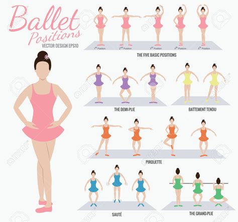 Ballet Steps, Ballet Terms, Ballet Basics, Beginner Ballet, Ballerina Workout, Ballet Practice, Ballet Positions, Dance Stretches, Ballet Lessons