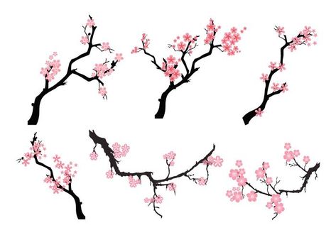 Tree Blossom Drawing, Peach Blossom Tree, Blossom Drawing, Anime Cherry Blossom, Cherry Blossom Vector, Cherry Blossom Drawing, Flor Tattoo, Branch Drawing, Tree Blossom