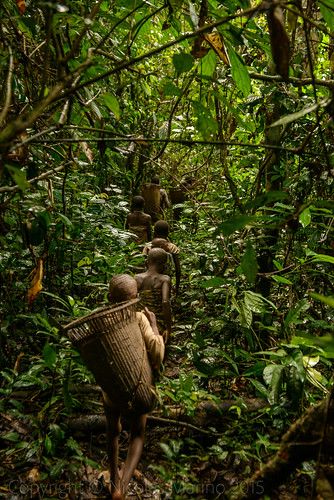 Travel Africa, Central Africa, Central African Republic, Sea Sand, Central African, Africa Travel, Travel Goals, Equatorial Guinea, Mother Nature