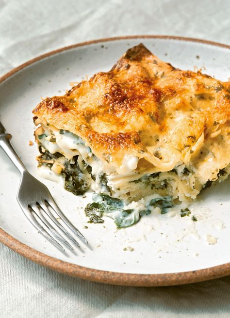 Is Cooking Together All That Hard? - Heated Green Lasagna, Salmon Lasagna, Homemade Ravioli, Spinach Lasagna, Fast Dinners, Grain Foods, Eat Smart, Cooking Together, Chard