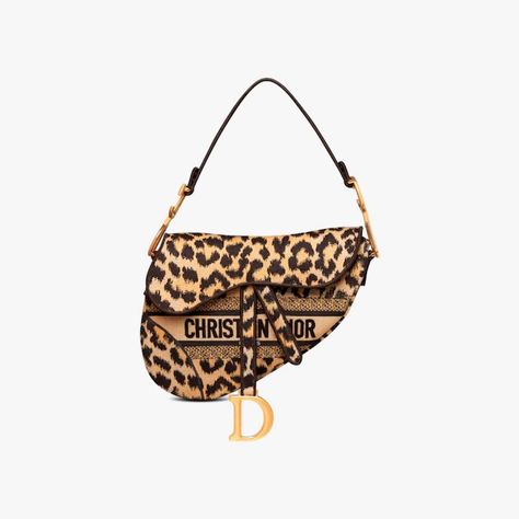 Dior 2021, Lv Purse, Dior Saddle, Lv Shoes, Christian Dior Fashion, Bag Women Fashion, Embroidered Canvas, Maria Grazia Chiuri, Embroidery Bags