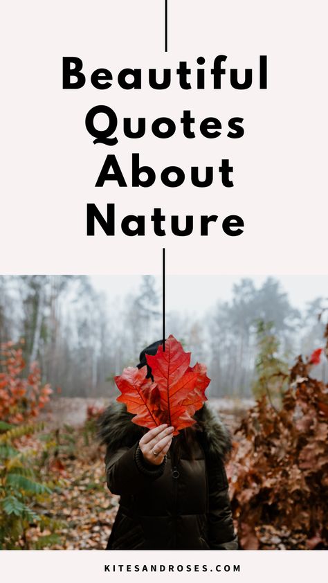 Looking for quotes about nature? Here are the true words and sayings that will help you appreciate and value the beauty of the Mother Nature. Nature Bliss Quotes, Mother Nature Quotes Wisdom, Love Of Nature Quotes, Appreciate Nature Quotes, Love For Nature Quotes, Appreciating Nature Quotes, Nature And Love Quotes, Mother Nature Quotes Beauty, Quotes About Nature And God