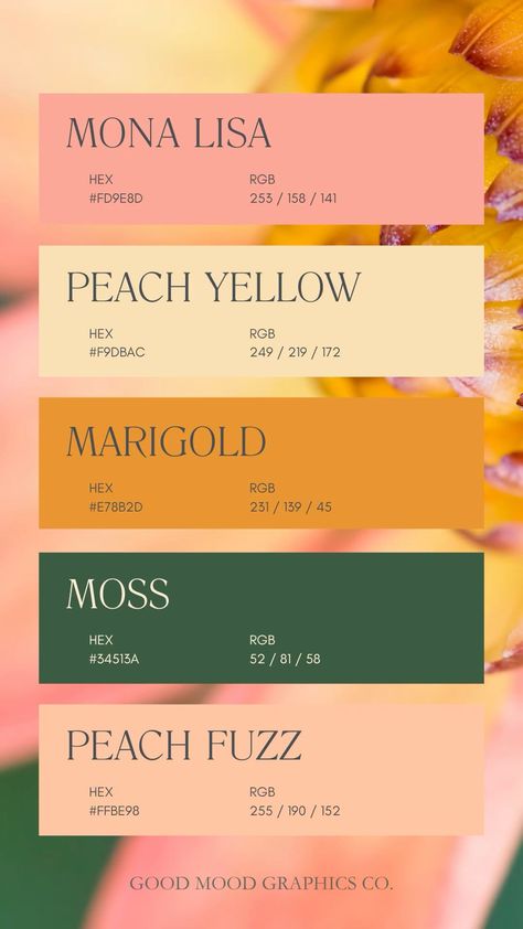 Peach Fuzz Color Palette 🍑 🎨 Good Color Matches, Mustard Yellow Pallet Colour Palettes, Peach And Mustard Color Palettes, Vintage Pink And Green Color Palette, Banana Yellow Color Palette, Mustard Yellow And Pink Color Palette, Mustard And Pink Colour Palettes, Yellow And Pink Color Scheme, Yellow Pink Color Scheme