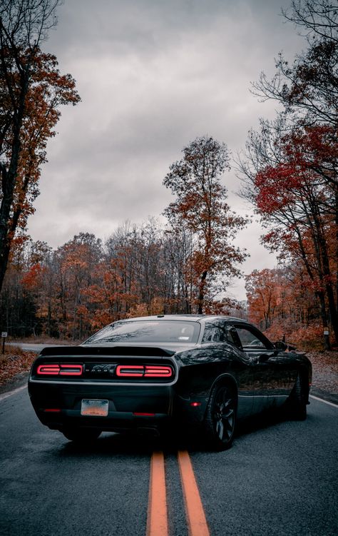 Doge Challenger, Fall Widgets, Mustang Wallpaper, Dodge Challenger Hellcat, Wall Pics, Camaro Car, Dodge Challenger Srt Hellcat, Dodge Muscle Cars, Car Backgrounds