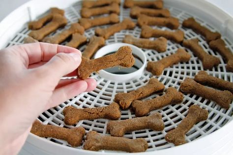 Homade Dog Treats, Baked Dog Treats, Pet Treats Recipes, Diy Dog Food, Dog Biscuits Homemade, Dog Biscuit Recipes, Easy Dog Treats, Healthy Dog Treats Homemade, Dog Treats Homemade Recipes