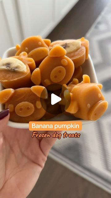 EmeryPets on Instagram: "Easy fall dog treats and you only need 3 ingredients! 

@emerypets.co treat mold: pig + cow

Recipe:
-to a blender add 1/4 of a banana, 3oz of pumpkin puree (not pumpkin pie filling) and 3oz of water
-blend and pour it into your treat mold
-cut up 5 slices of bananas and cut each in half 
-add the banana on top of each mold
-freeze for 3-5 hours" Fall Dog Treats, Frozen Dog Treats, Pumpkin Dog Treats, Pumpkin Banana, Frozen Dog, Fall Dog, Treat Recipes, Pumpkin Pie Filling, Dog Treat Recipes