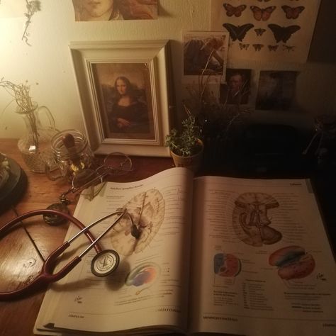 Anatomy Doctor Aesthetic, Grunge Doctor Aesthetic, Doctor Vintage Aesthetic, Medicine Vintage Aesthetic, Nurse Aesthetic Vintage, Anatomist Aesthetic, Doctor Aethstetic, Old Doctor Aesthetic, Heart Doctor Aesthetic