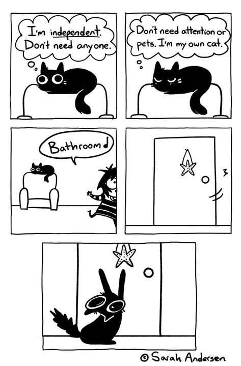 Oq???????? Sarah Anderson Comics, Sarah's Scribbles, Sarah Andersen, Funny Comic Strips, Cat Comics, Grumpy Cat, Cute Comics, Comic Strip, Funny Comics