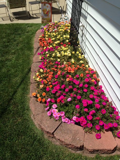 Dream Garden Backyards, Front Porch Flowers, Front Lawn Landscaping, Porch Flowers, Flower Bed Ideas, Front Yard Garden Design, Fall Garden Vegetables, Recycled Garden, Home Landscaping