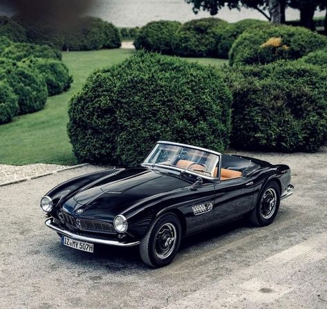 Bmw 507 Roadster, Bmw 507, 1950s Car, Classic Bmw, Old Vintage Cars, Vintage Sports Cars, Bmw Classic, Classic Sports Cars, Classy Cars