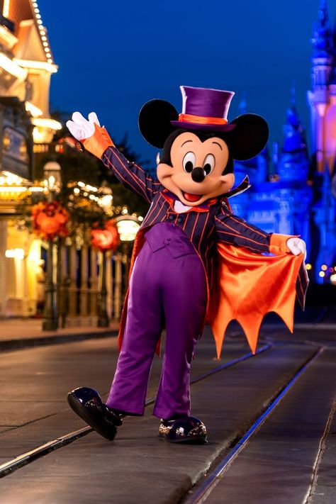 Lets Boo This! Mickey’s Not So Scary Halloween Party is back, select nights Aug 12-Oct 31 in Magic Kingdom Park! Halloween Party Tickets, Disney World Halloween, Not So Scary Halloween Party, Disney Vacation Planner, Not So Scary Halloween, Walt Disney Characters, Tema Disney, Disney World Characters, Mickey Halloween