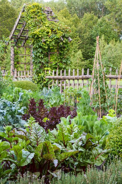 What to Know About Adding or Renovating an Edible Garden Fenced Vegetable Garden, Garden Boxes Raised, Potager Garden, Edible Landscaping, Veg Garden, Inspire Me Home Decor, Have Inspiration, Vegetable Garden Design, Traditional Landscape