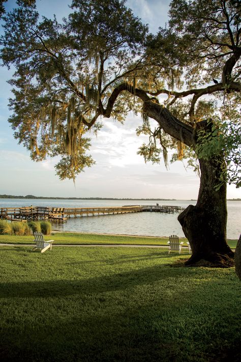 Mount Dora Florida, Southern Aesthetic, Country Ham, Southern Travel, Ancient Trees, Mount Dora, Porch Swings, Meditation Garden, Southern Life