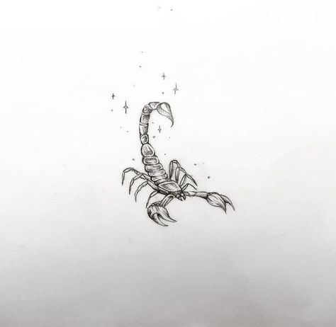 Matching Scorpion Tattoo, Tiny Scorpion Tattoo Design, Scorpio Moon Tattoo Ideas, Scorpion Tattoo Fine Line, Feminine Scorpion Tattoo Ideas, Flaming Tattoo, Feminine Scorpion Tattoo, Scorpion Tattoo Design Feminine, Scorpion Tattoo Feminine