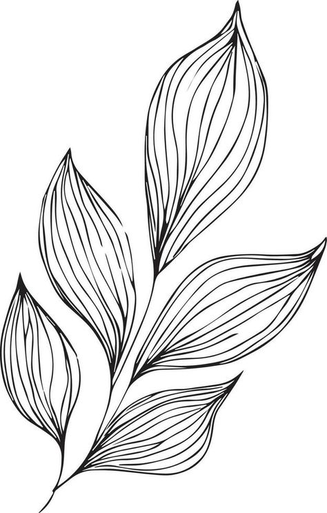 botanical vector illustration coloring page, simplicity, Embellishment, monochrome, vector art, Outline print with botanica leaf of branch, botanical leaves, and buds, minimalis botanical tattoos. Outline Leaves, Leaves Outline, Leaf Vector Illustration, Outline Flowers, Print Making Designs, Easy Tattoos To Draw, Outline Flower, Easy Tattoos, Botanical Tattoos