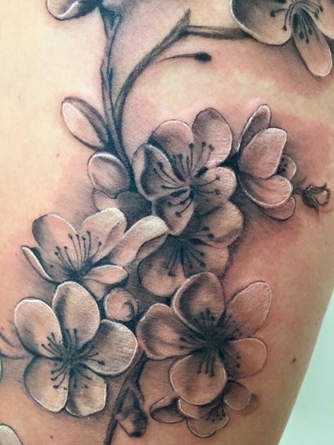 Cherry blossom on thigh in black and grey - by Nico Dray (The Worlds End) in Guernsey. ❤️ Big Cherry Blossom Tattoo, Cherry Blossom Tattoo Black, Buddha Tatoo, Japanese Cherry Blossom Tattoo, Cherry Blossom Tree Tattoo, Blossom Tree Tattoo, Tattoo Black And White, Flower Tattoo Arm, Floral Tattoo Sleeve