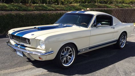 Old Ford Mustang, Shifting Help, White Mustang, Studebaker Trucks, 1965 Ford Mustang, Ford Ranger Truck, 1965 Mustang, Ford Mustang Fastback, Future Cars