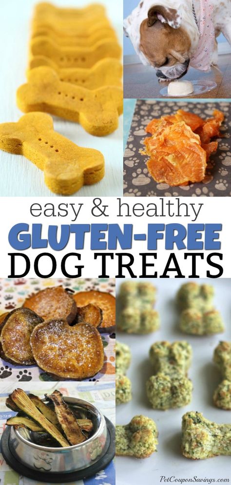 Gluten Free Dog Treats Homemade, Gluten Free Dog Treat Recipes, Gluten Free Dog Treats, Dog Cookie Recipes, Pet Treats Recipes, Dog Treats Homemade Easy, Easy Dog Treat Recipes, Organic Dog Treats, Dog Treats Grain Free