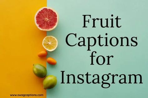 350+ Fruit Captions And Quotes To Make Your Instagram Pop! Fruits Captions For Instagram, Blueberry Quotes Funny, Quotes For Fruits, Dragon Fruit Quotes, Fruit Captions Instagram, Juice Captions Instagram, Fruit Quotes Inspirational, Blueberry Quotes, Fruit Quotes Funny