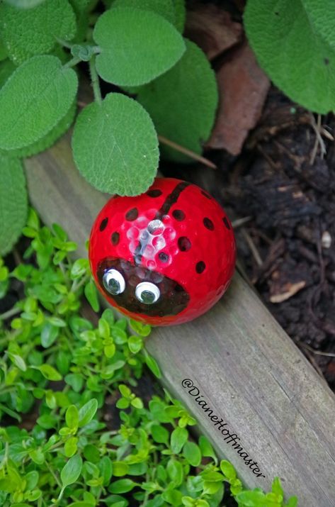 Easy Garden Craft Golf Ball Lady Bug Camping 2023, Golf Crafts, Upcycled Garden, Golf Ball Crafts, Ladybug Decorations, Ladybug Garden, Golf Diy, Ladybug Crafts, Garden Bugs