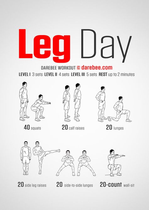 Legs are what you need to use when you want to run (from zombies, werewolves and vampires, for example) and they’re also kinda useful in everyday life because we still walk to get to places. This is a workout to help you make them strong and capable of performing at will. Inner Leg Workout, Darebee Workout, Lower Body Workouts, Fitness Studio Training, Trening Sztuk Walki, Gym Antrenmanları, Leg Day Workouts, Trening Fitness, Body Workout Plan