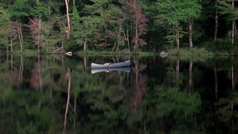 #fridaythe13th #jason #cunningham #cinematography #cinema #moviescenes #aesthetic #explore #explorepage #feedfeed #feed Friday The 13th 1980, Summer Camp Aesthetic, Peter Doig, Slasher Film, 80s Horror, Camping Aesthetic, A Nightmare On Elm Street, Movie Shots, The Uncanny