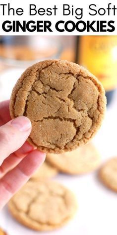 Soft And Chewy Ginger Cookies, Ginger Snap Cookies Soft, Chewy Ginger Cookies Soft, Homemade Ginger Cookies, Soft Ginger Snaps Cookies, Soft Molasses Ginger Cookies, Soft Ginger Snap Cookies Recipes, Soft Chewy Ginger Cookies, Molasses Ginger Cookies Soft