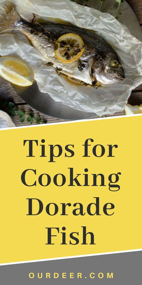 There are many names for Dorade, including “dourada,” “dorada,” “dorado,” “sea beam,” “golden bream,” and “orata.” It is widely eaten in Spain, Italy, Turkey and Greece and is frequently considered the best tasting bream available. Many varieties of Dorade are available year round at fish markets throughout the United States. #dorade #fish #goldenbream #orata #seabass #seabeam #snapper #sole #seafood Gold Fish Recipe, How To Cook Dorado Fish, Dorado Fish Recipes, Golden Pompano Fish Recipe, Gold Fish Reference, Dorado Fish, Golden Dorado Fish, Tips For Cooking, Italian Party