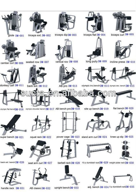 Gym Workout Equipment, Gym Machines Names, Bodybuilding Gym Design, Gym Equipment Design, How To Use Gym Equipment, Gym Vocabulary, Gym Equipment Machine, At Home Gym Equipment, Gym Equipment Names