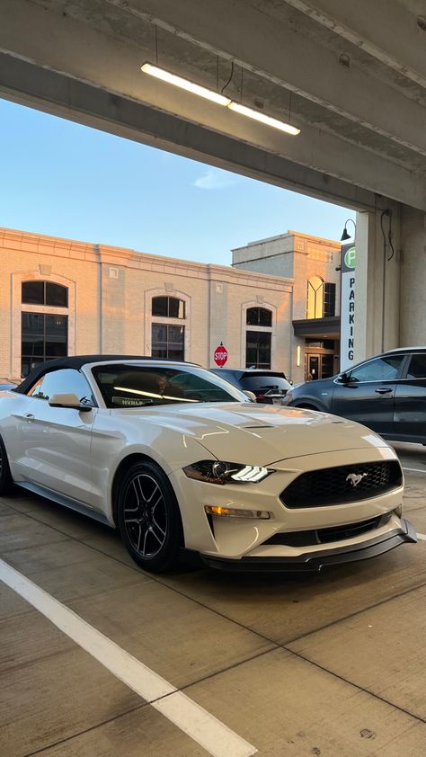 Mustang S550, White Mustang, Ford Mustang Convertible, Ford Mustang Car, Lux Cars, Mustang Convertible, Mustang Cars, Classy Cars, Fancy Cars